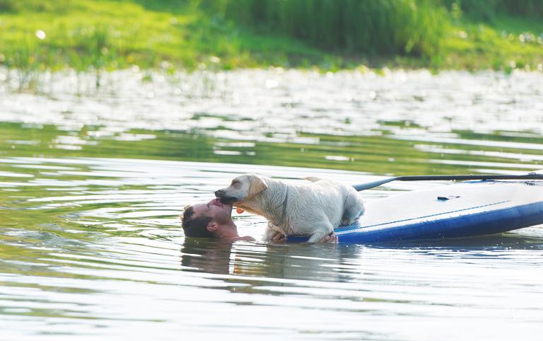 Man and dog swimming